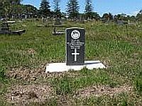 2328tn.jpg (13183 bytes)